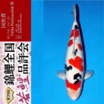 THE 39th NISHIKIGOI ALL JAPAN YOUNG KOI SHOW