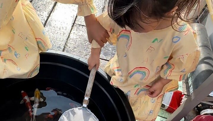 成田養魚園主催 初鯉甲子園5/7 大会