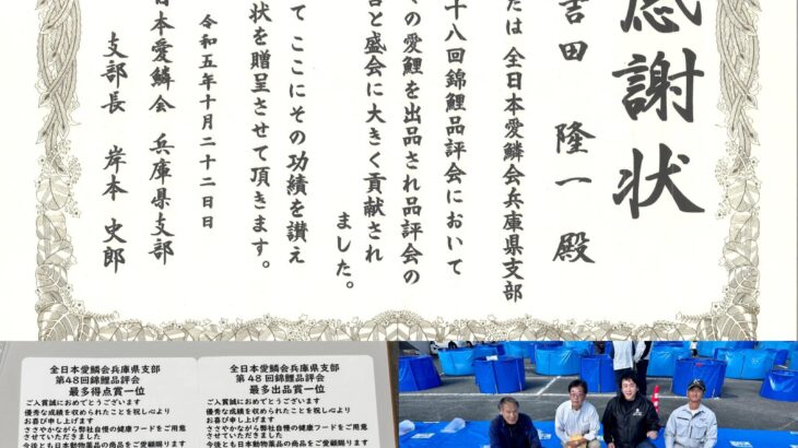 2023年10月22日 全日本愛鱗会兵庫県支部第 48回錦鯉品評会