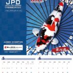 JPD Callander 2024