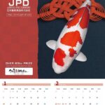 JPD Callander 2024