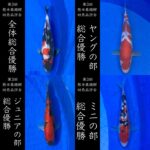 第3回熊本県錦鯉幼魚品評会&即売会