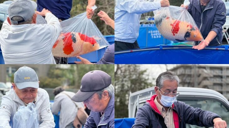 41th Yamaguchi prefecture koi show