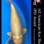 The All-American Koi Show Las Vegas