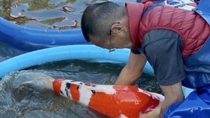 Oyama fish Farm  Hiroshima