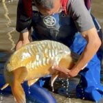 Oyama fish Farm  Hiroshima