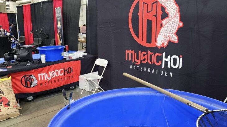 USA JPD dealer Mystic koi had a booth at L.A. Pet Fair 2024 1 July