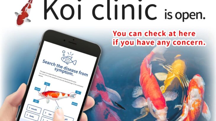 English version of Koi clinic is opened finally.