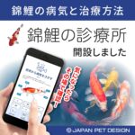 『錦鯉の診療所』のご案内です