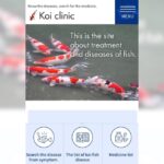 English version of Koi clinic