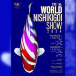 Koi show hosted by General Incorporated Association WORLD NISHIKIGOI CLUB is coming soon.