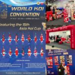 15th Asia Cup Koi Show in Singapore 19-21 July 2024.