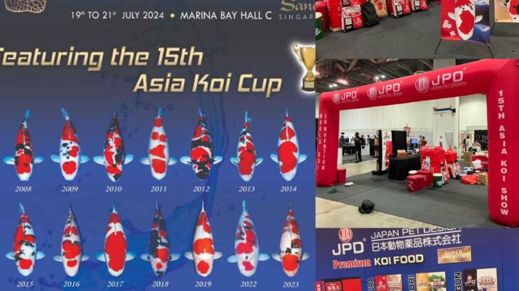 15th Asia Cup Koi Show in Singapore 19-21 July 2024.