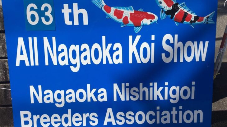 Th63 All Nagaoka koi show visit.