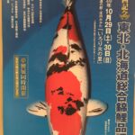 Th40Tohoku Hokkaido area Koi show 30 October.