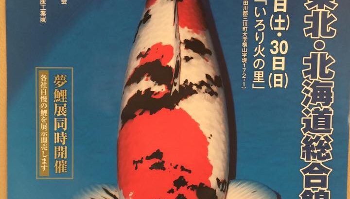 Th40Tohoku Hokkaido area Koi show 30 October.