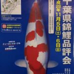 2016年11月6日 第45回 千葉県錦鯉品評会