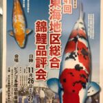 2016東海地区総合錦鯉品評大会