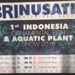 Th2 Indonesia Ornamental Fish Show