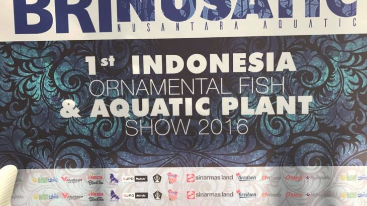 Th2 Indonesia Ornamental Fish Show