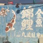 丸浦魚園訪問