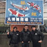 Maruhiro koi farm visit.