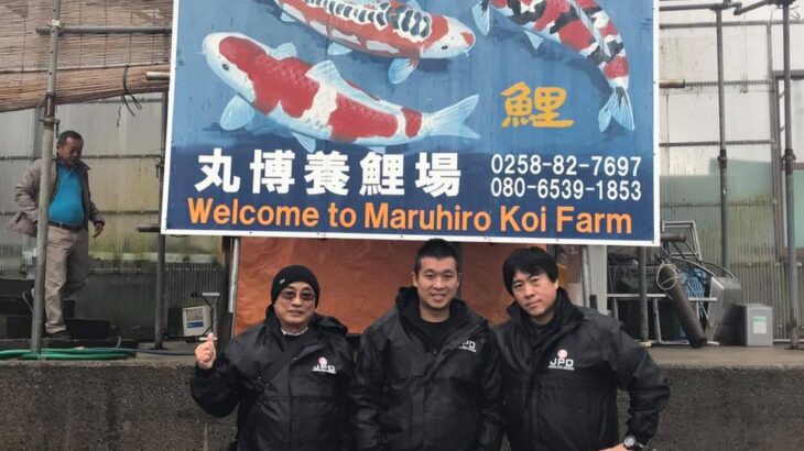 Maruhiro koi farm visit.