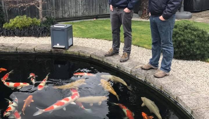 A4Koi visit. Around 13 years relationship.