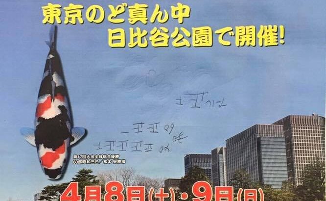 大江戸錦鯉まつり 訪問 2017年4月8日9日