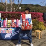 17-April 2017 Awaji area Hyogo prefecture Young koi show