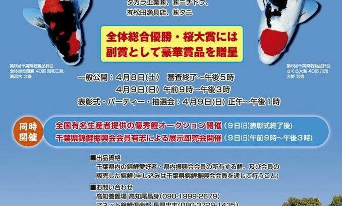 第9回千葉県若鯉品評会 訪問 2017年4月9日