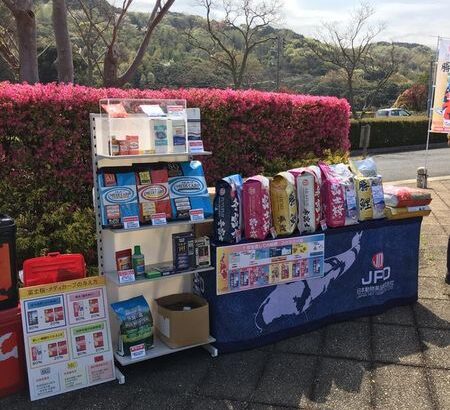 17-April 2017 Awaji area Hyogo prefecture Young koi show