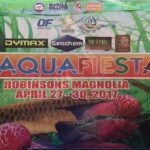 Aquarium Show in Philippines.I have just arrived.