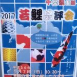 Chiba area ZNA young koi show visit .May 7, 2017.