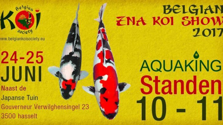 Belgium Koi Show 24-25.2017.