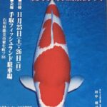 13th Hokuriku District koi Show visit.